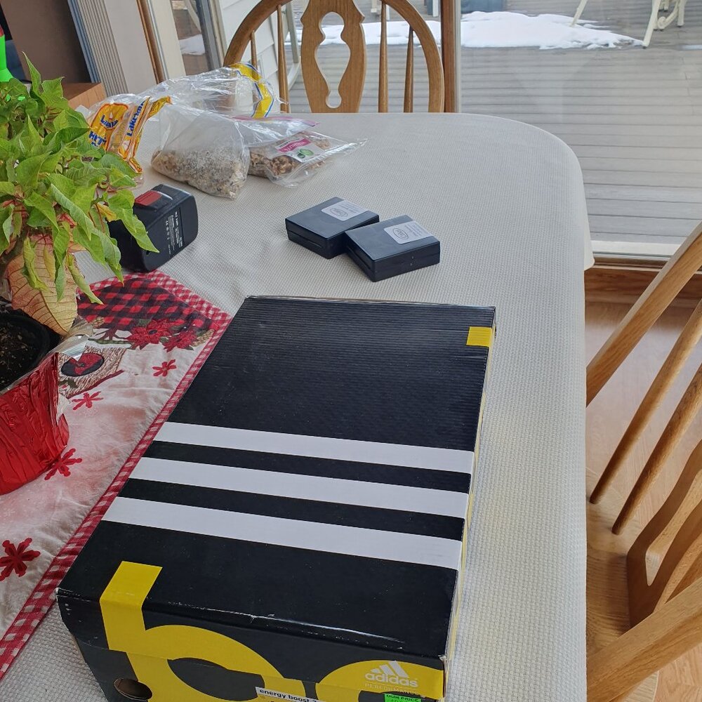 Adidas Springblade running shoes 11